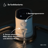 Smart Trinkpfote + 6 Ersatzfilter