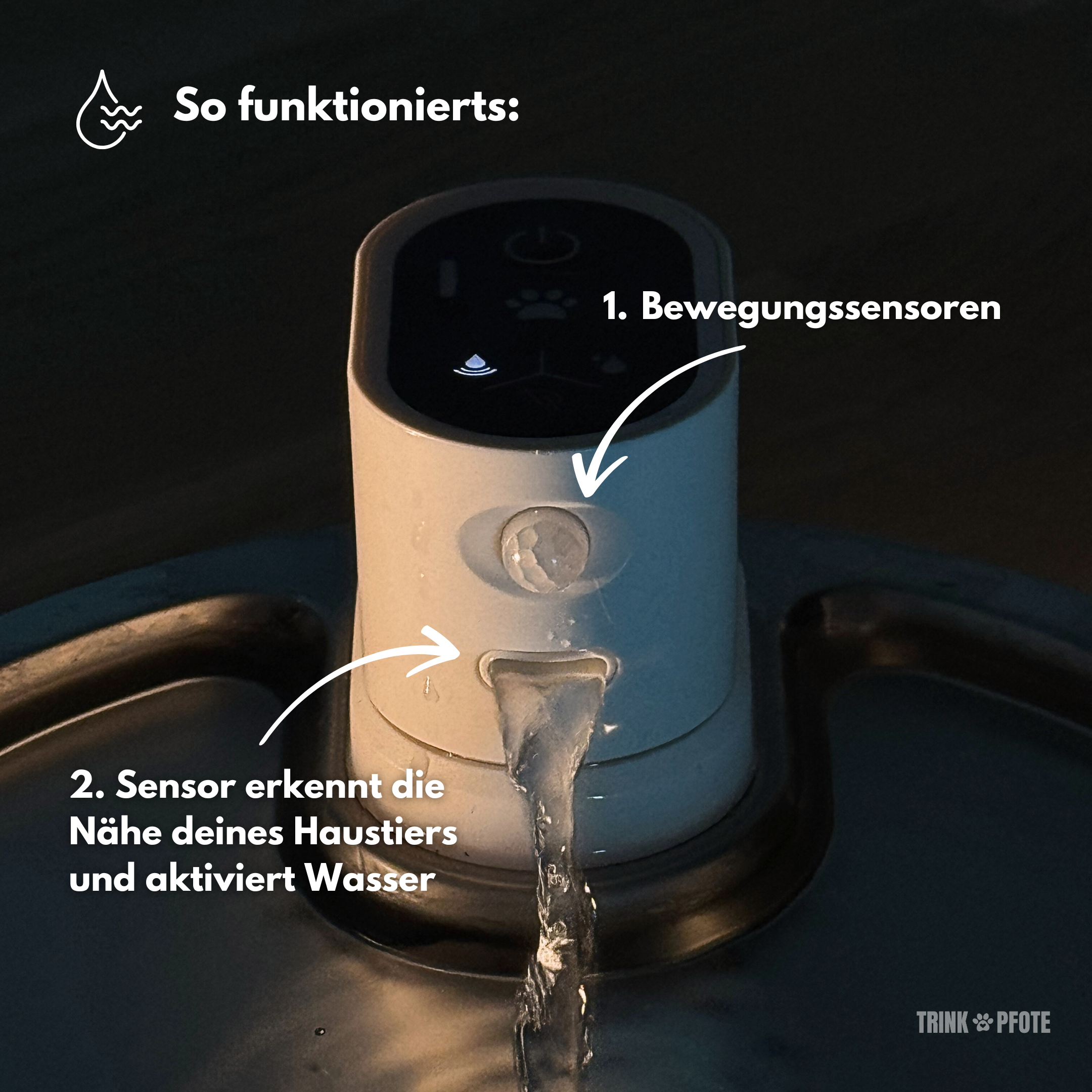 Smart Trinkpfote + 6 Ersatzfilter