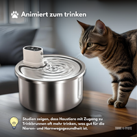 Smart Trinkpfote + 6 Ersatzfilter