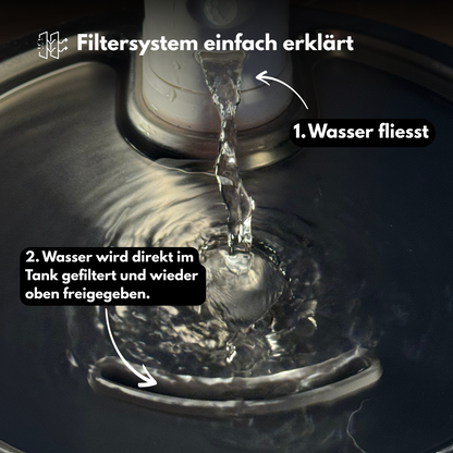6 Ersatzfilter für Smart Trinkpfote