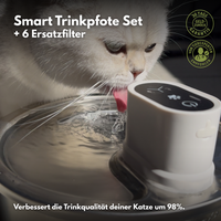 Smart Trinkpfote + 6 Ersatzfilter